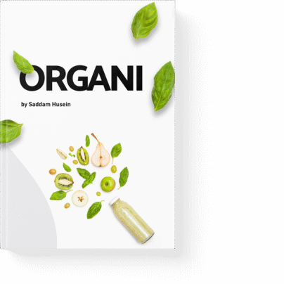 Organi Vegan Food